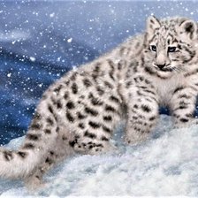 Схема вышивки «БОЛЬШАЯ КОШКА»