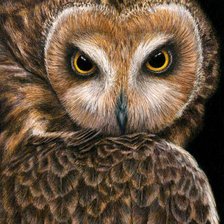 Схема вышивки «№1822710»