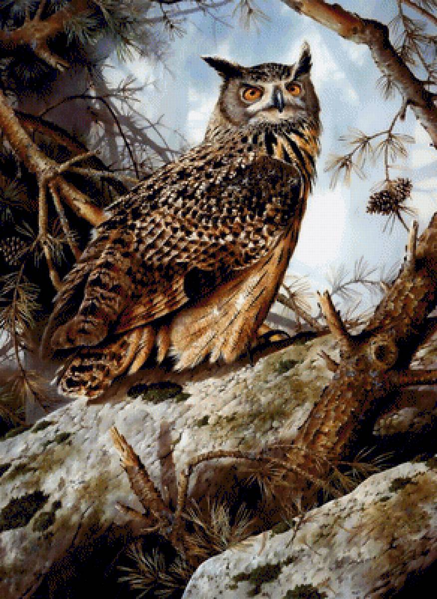 Джеймс Теранс Бонд Внимательная сова - природа, птицы, совы, сова - предпросмотр