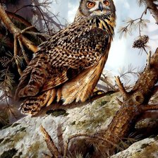 Схема вышивки «Джеймс Теранс Бонд Внимательная сова»