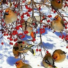 Схема вышивки «№1822775»