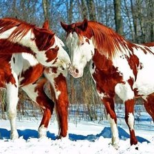 Схема вышивки «№1822781»