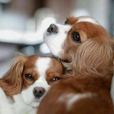 Схема вышивки «№1822791»