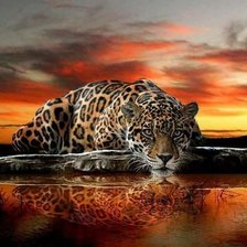 Схема вышивки «№1822792»