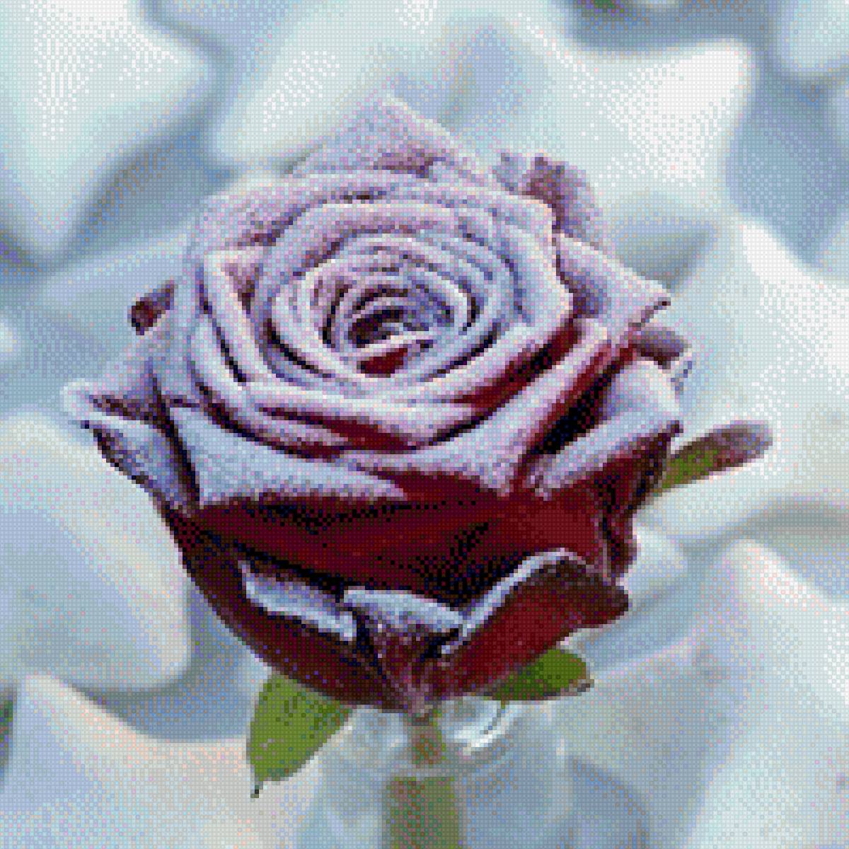 №1822793 - предпросмотр