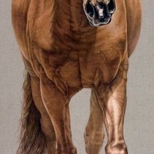 Схема вышивки «Конь»