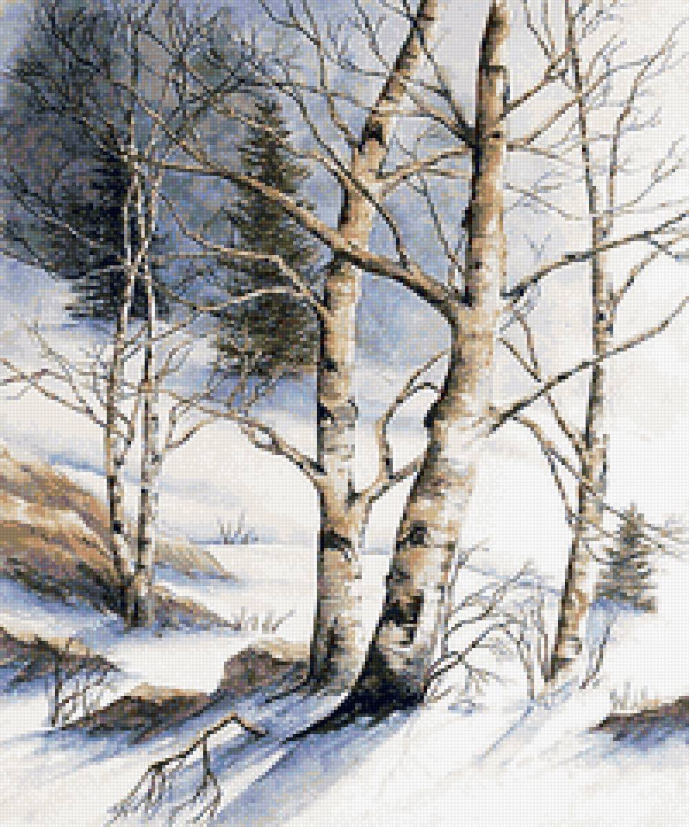 Березы - снег, природа, лес, пейзаж зима - предпросмотр