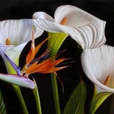 Схема вышивки «цветы»