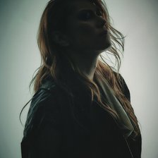 Схема вышивки «Die (DIR EN GREY)»