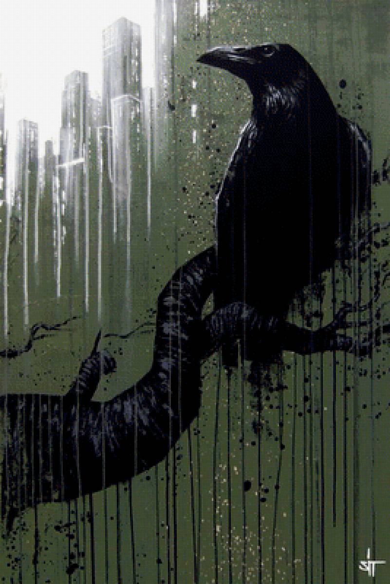 Ворона - предпросмотр