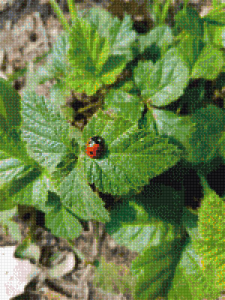 Лето - предпросмотр