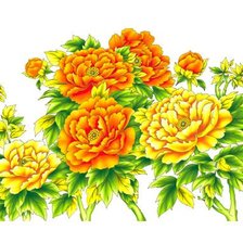 Схема вышивки «Пионы»