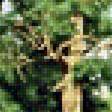 Предпросмотр схемы вышивки «Дубовая роща Шишкин» (№1824288)