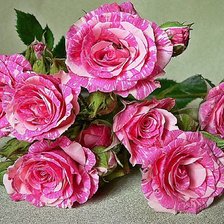 Схема вышивки «№1824314»