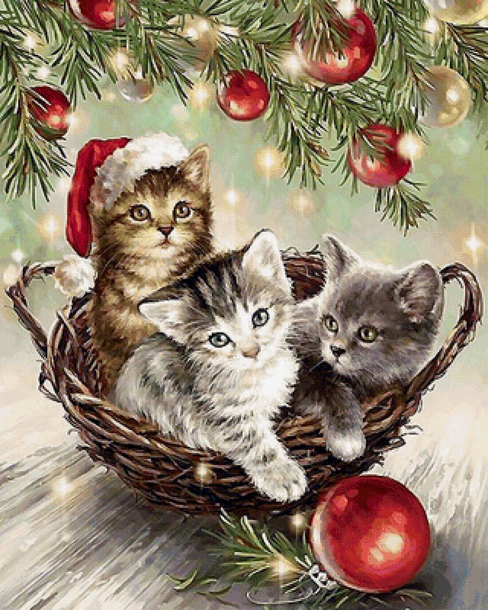 котята - предпросмотр