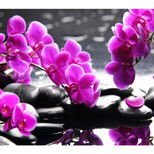 Схема вышивки «Орхидеи»