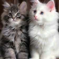 Схема вышивки «№1824588»