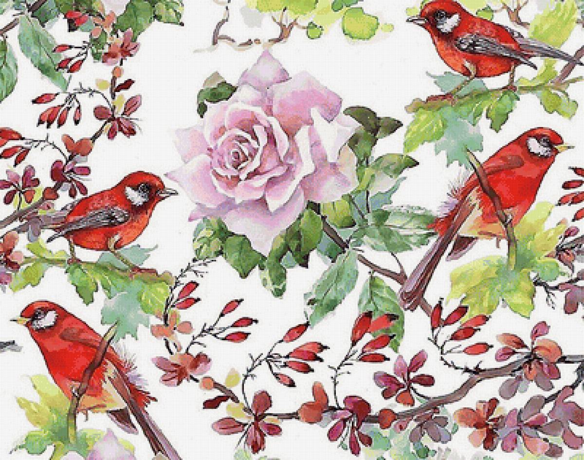 птицы - мир животных - предпросмотр