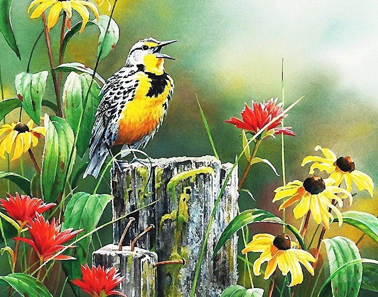 птица - мир животных - оригинал