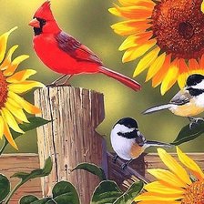 Схема вышивки «птицы»