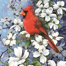 Схема вышивки «птица»