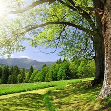 Схема вышивки «пейзаж»