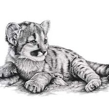 Схема вышивки «№1825135»