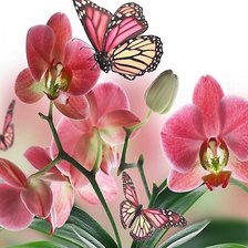 Схема вышивки «№1825231»