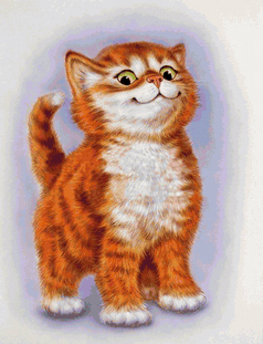 Рыжик - кот, кошки. животные, котенок - предпросмотр