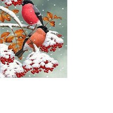 Схема вышивки «№1825237»