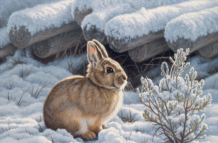 дикие - оригинал