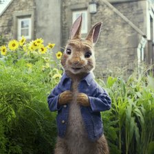 Схема вышивки «кролик питэр»