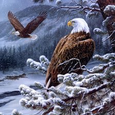 Схема вышивки «птицы»