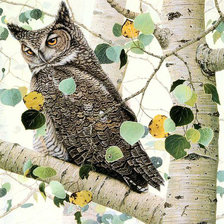Схема вышивки «Сова»