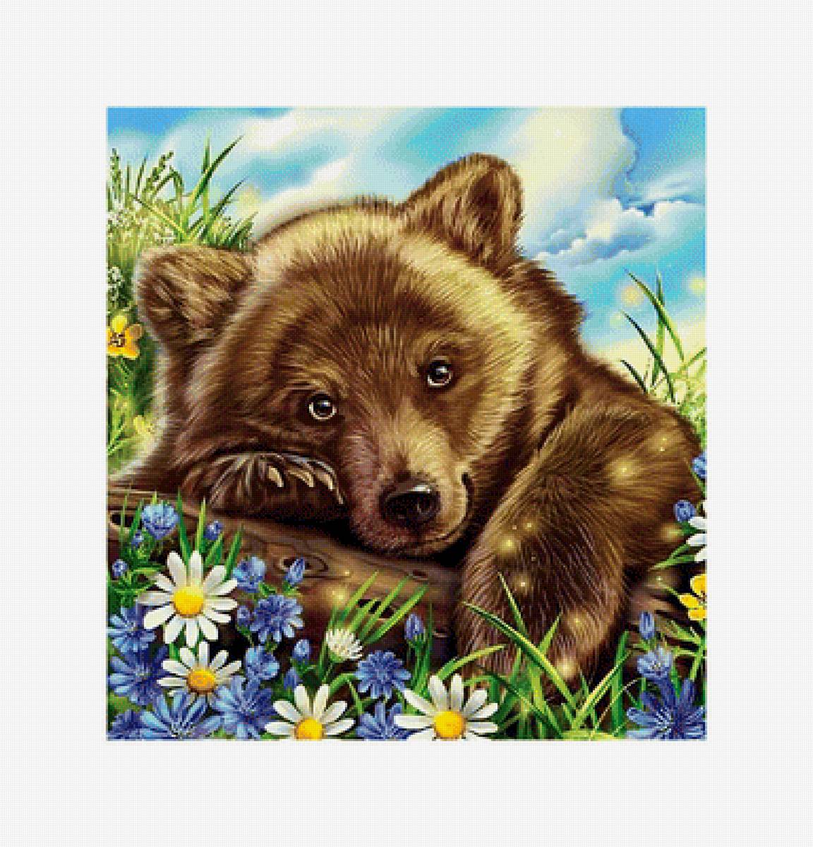 Мишка косолапый - медведи, животные - предпросмотр