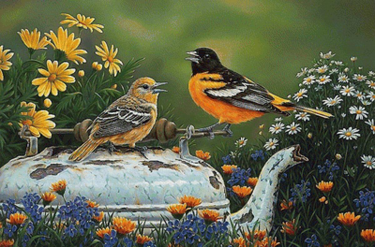 птицы - мир животных - предпросмотр