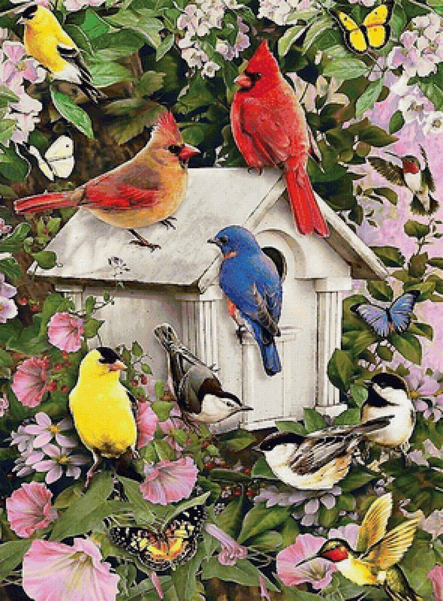 птицы и бабочки - мир животных - предпросмотр