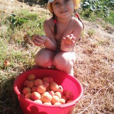 Схема вышивки «Ксюша с абрикосами»