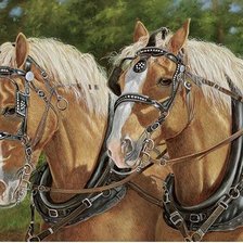 Схема вышивки «Серия "Кони"»