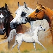 Схема вышивки «Лошади»