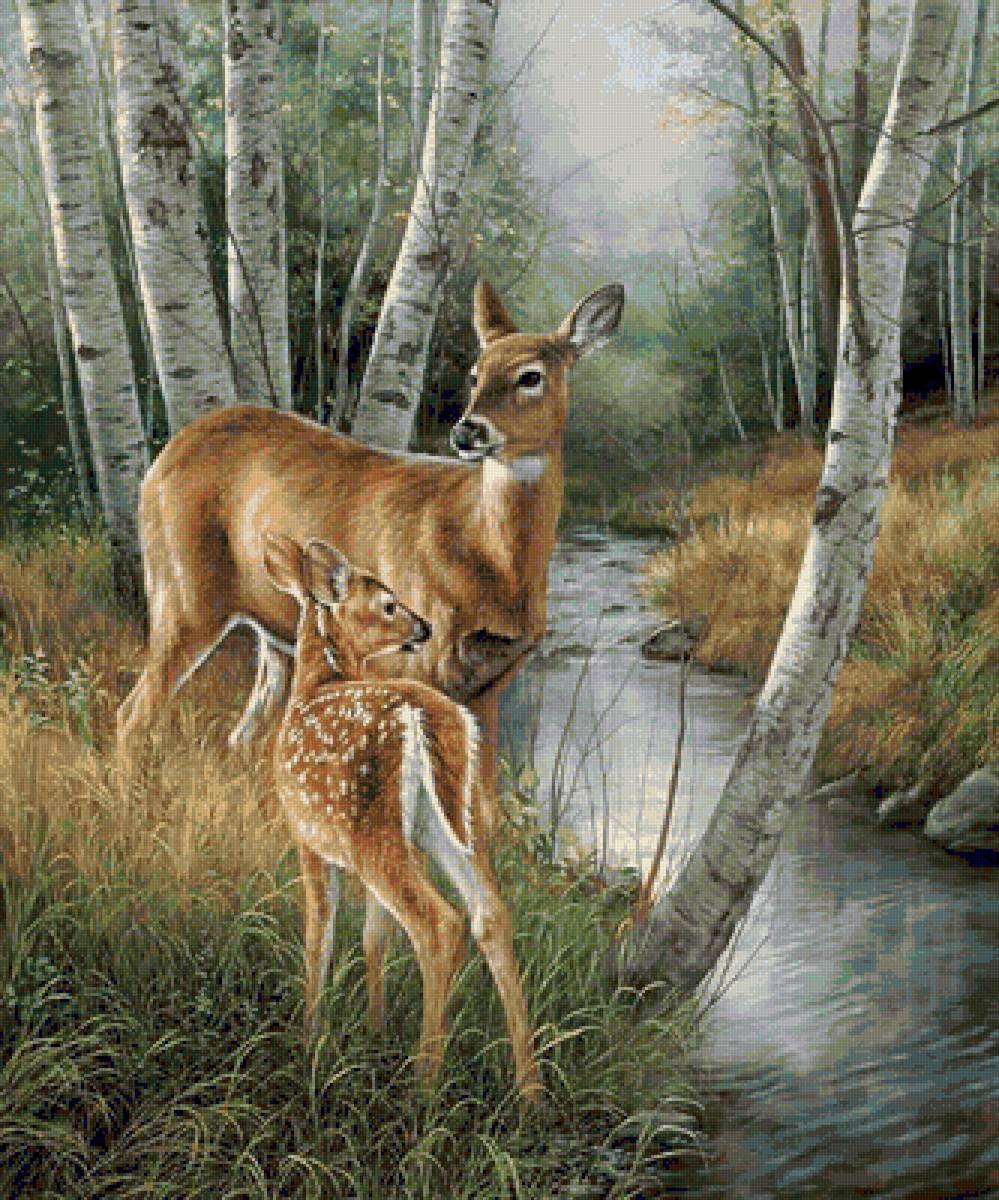 дикие - предпросмотр