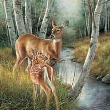 Схема вышивки «дикие»