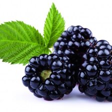 Схема вышивки «Ежевика2»