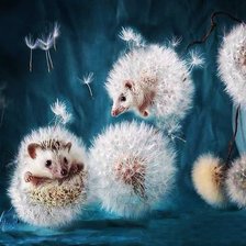 Схема вышивки «ёжики»