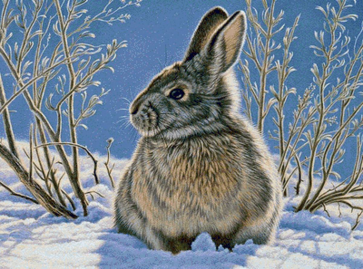 дикие - предпросмотр