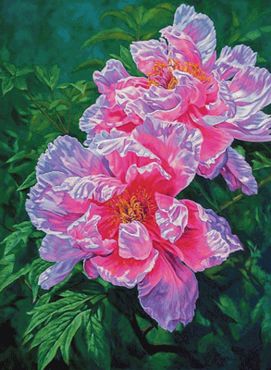 №1827011 - предпросмотр