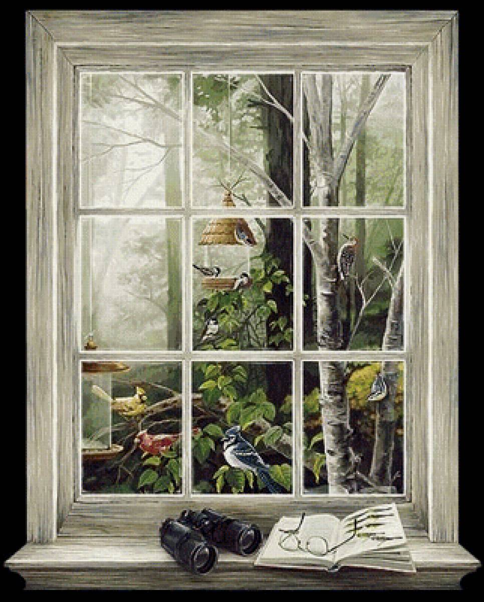 птицы - предпросмотр