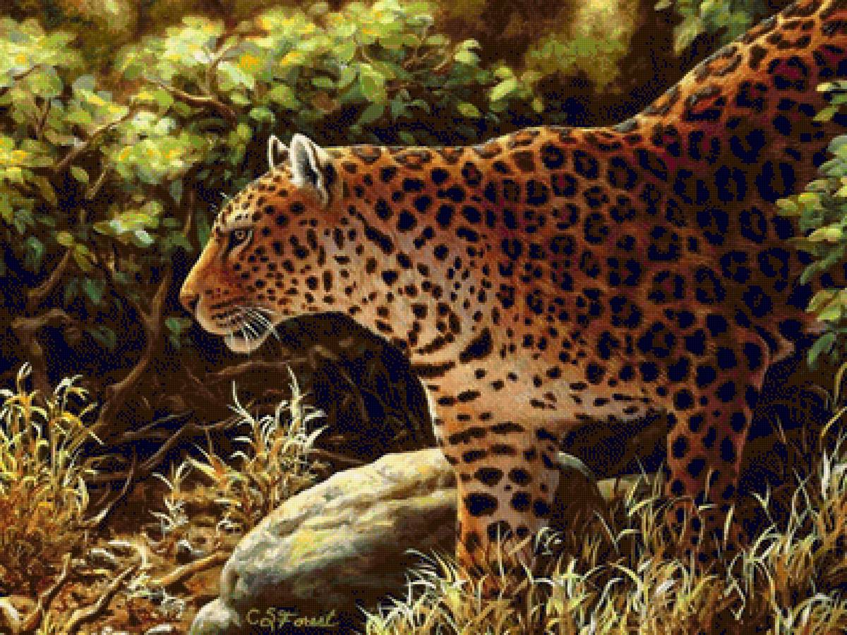 leopard - leopard - предпросмотр