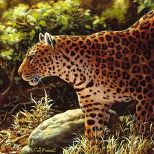 Схема вышивки «leopard»