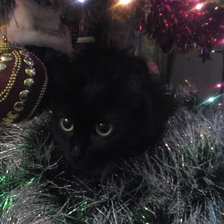 Схема вышивки «Моя Нюрочка»